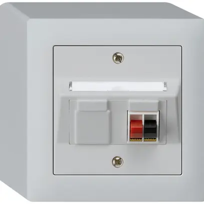 Prise AP audio kallysto 1×gris clair borne à étrier pour 1 haut-parleur 