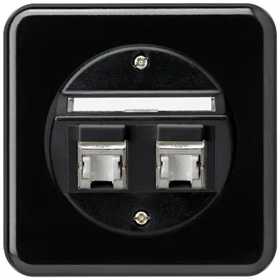 UP-Einsatz basico C Kat.6 2×RJ45/s Schrägauslass schwarz 