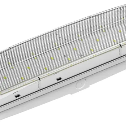 Luminaire de voie de secours LED DOTLUX EXIT IP65 mur 350lm 