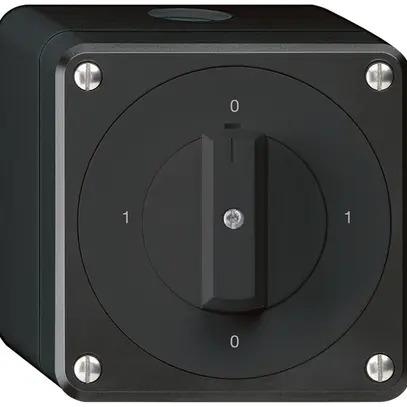 Interrupteur rotatif AP robusto IP55 schéma 0/3P noir 