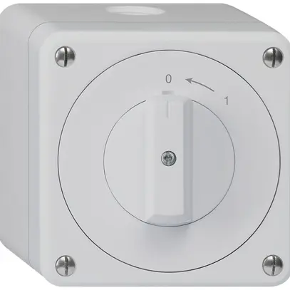 AP-Schwenktaster robusto IP55 grau 1P 