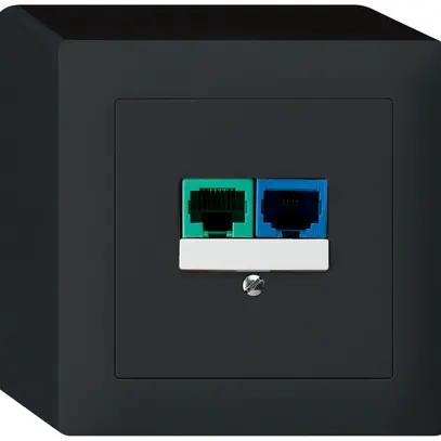 AP-Dose DSL kallysto 2×RJ45 schwarz 