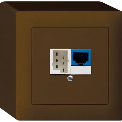 Boîte DSL AP 1×RJ45/1×T+T brun 