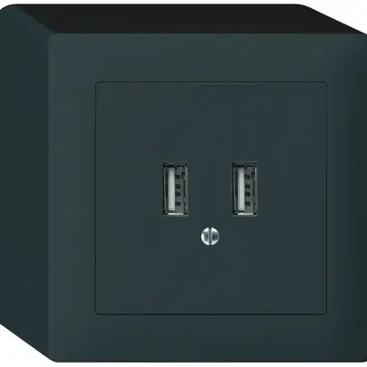 Prise de charge USB AP Hager kallysto 240V 2400mA noir 