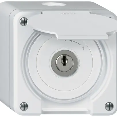 Contact pivotant à clé AP robusto IP55 blanc avec clapet 2P 