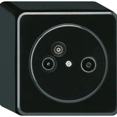 Presa d'antenna AP TV-R-Dati basico 2GHz 11db nero 