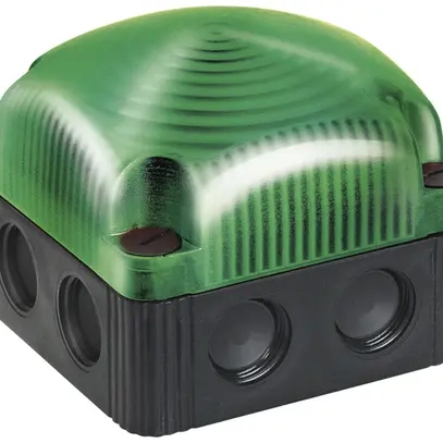 Lampe permanente LED BWM 24VDC vert 