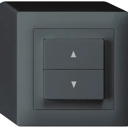 Interrupteur pour stores AP kallysto 2 touches anthracite bornes enfichables 