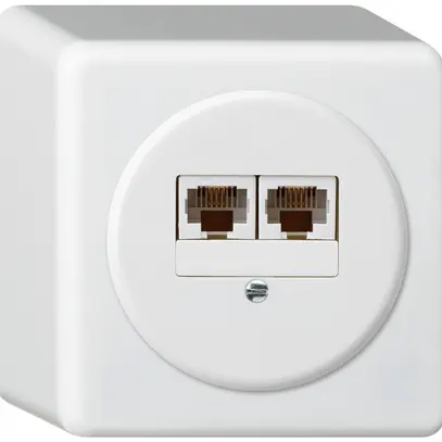 Boîte de raccordement AP basico 2×RJ45u blanc parallèle 