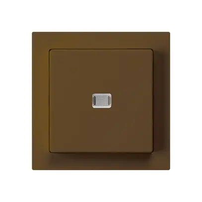 UP-Leuchtschalter kallysto 6/1L braun 