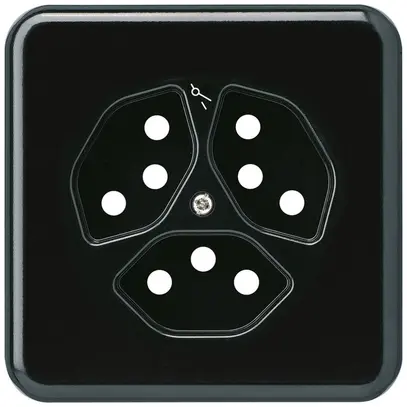 Plaque de recouvrement grd.I 3×type 13/1 noir basico 