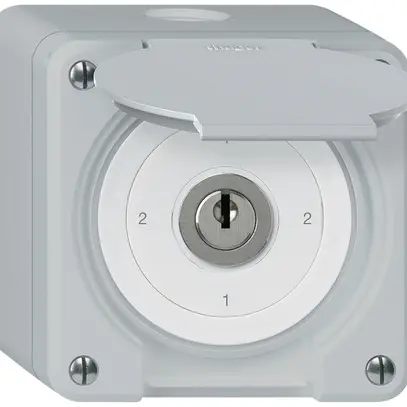 Interruttore a chiave con copertura AP robusto IP55 S3/1P grigio 