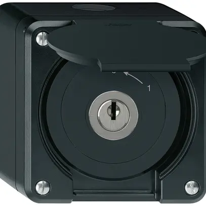 Contact pivotant à clé AP robusto IP55 noir avec clapet 2P 