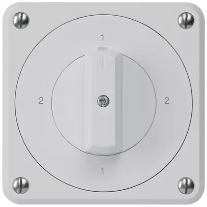 Interruttore rotativo INC robusto IP55 schema 3/1P grigio 