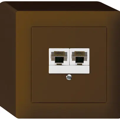 AP-Dose kallysto 2×RJ45u parallel braun 
