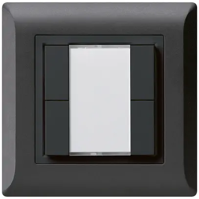 Pulsante universale INC 4×kallysto.line senza LED nero 
