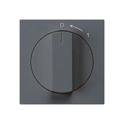 Contatto rotativo 0<1/1L antracite kallysto con manopola 