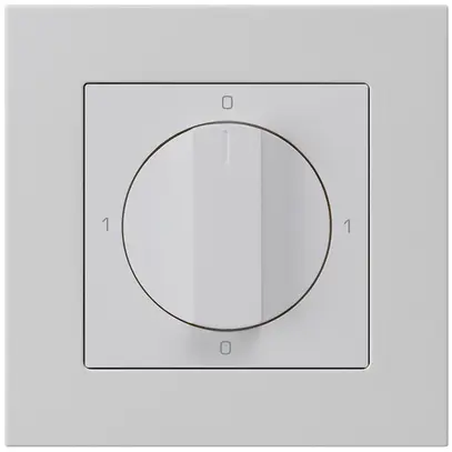 Interruttore rotativo INC kallysto.pro 0/1L grigio chiaro con manopola 