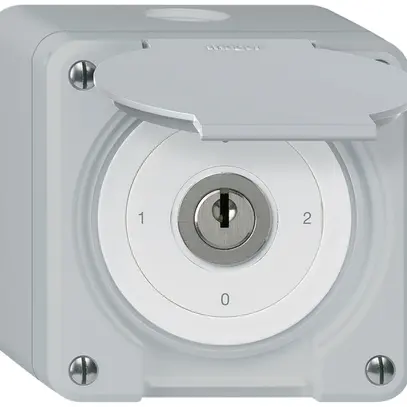 Interrupteur à clé AP avec clapet robusto IP55 S2/1P gris 