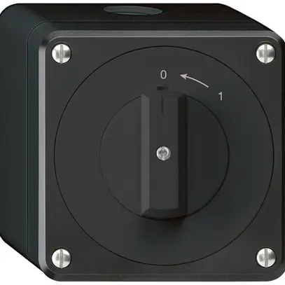 Contatto rotativo AP robusto IP55 nero 2P 