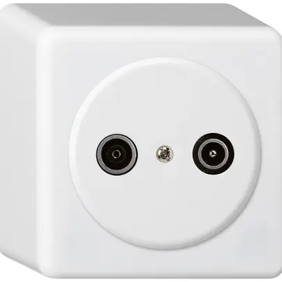 Presa d'antenna AP basico TV-R 10.5dB 2GHz bianco 