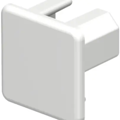 Plaque de fermeture Bettermann pour canal d'installation WDK blanc pur 20×20mm 