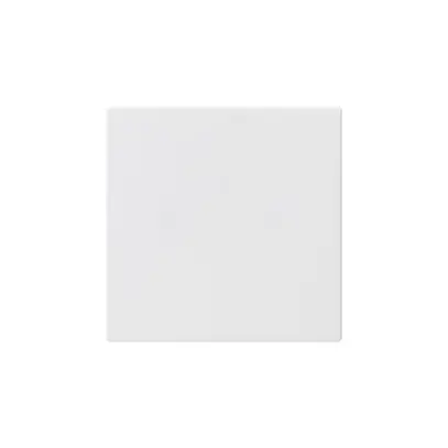 Bottone grande kallysto bianco semplice per interruttore S3/6+tasto 