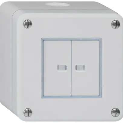 Contatto pulsante AP robusto IP55 2×1P grigio 2×illuminato 