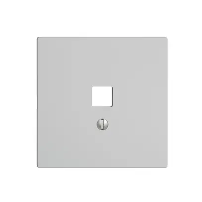 Kit frontale EDIZIOdue grigio chiaro 60×60mm per interfaccia USB 
