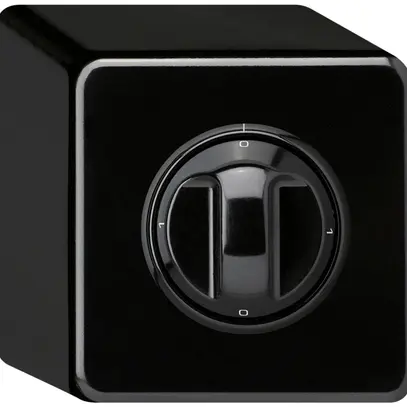 Interruttore rotativo AP basico 2/1L nero con manopola 
