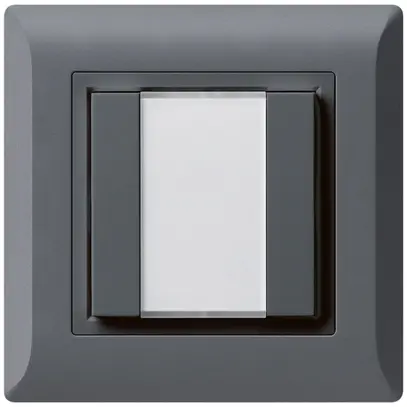 Poussoir universel ENC 2×kallysto.line sans LED anthracite 