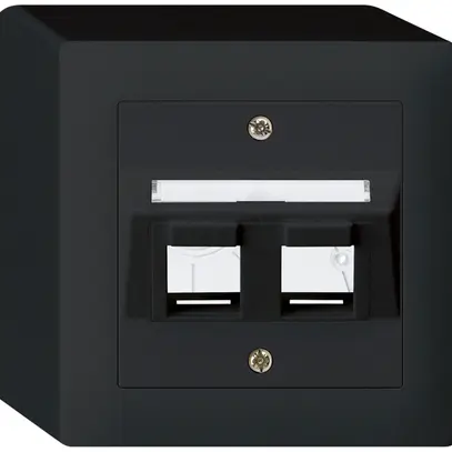 Kit de montage AP kallysto 2×Keystone noir 