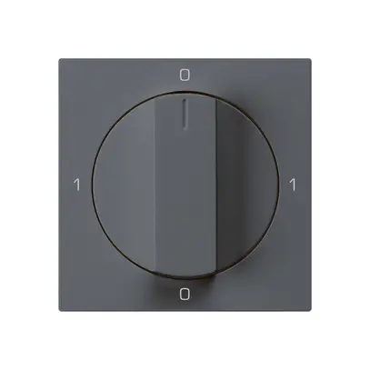 Inserto per interruttore rotativo kallysto 0/1L antracite con manopola 