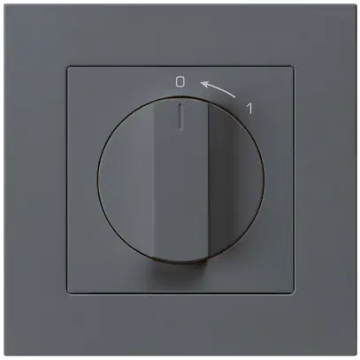 Contact pivotant ENC 0<-1/1L anthracite kallysto.pro avec manette 