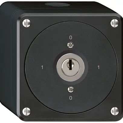 Interruttore a chiave AP robusto senza copertura 0/3P nero 