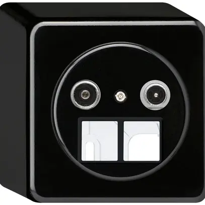 Presa multimedia AP basico TV-R 4dB 2GHz nero 