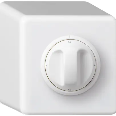 Interruttore rotativo AP basico 5/1L bianco con manopola 