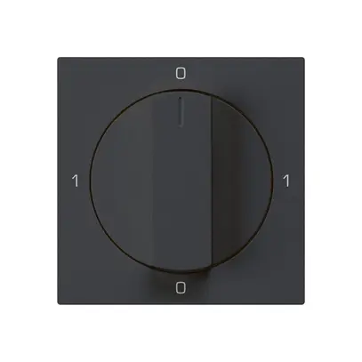 Intérieur pour interrupteur rotatif kallysto 0/1L noir avec manette 