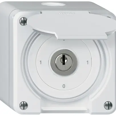 Interrupteur à clé AP robusto IP55 avec clapet S0/2P blanc 