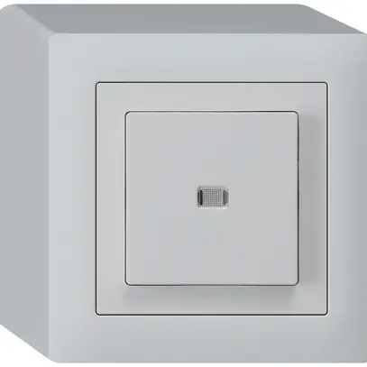 Interrupteur poussoir lumineux AP kallysto 3/1L gris clair 