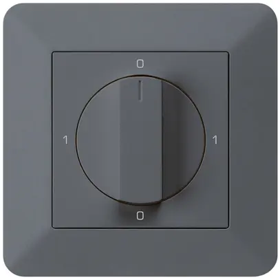 Interruttore rotativo INC kallysto.trend 0/1L antracite con manopola 