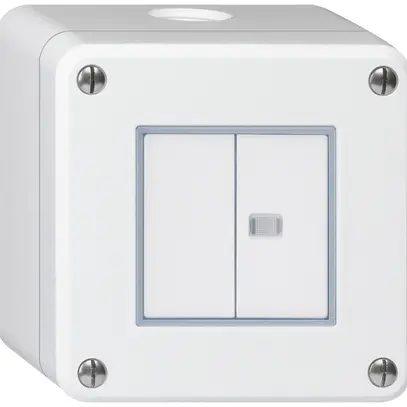Contatto pulsante AP robusto IP55 2×1P bianco 1×illuminato 