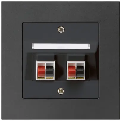 Prise ENC audio kallysto.pro 2× noir borne à étrier pour 2 haut-parleurs 