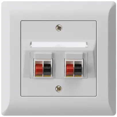 Prise ENC audio kallysto.line 2× gris clair borne à étrier pour 2 haut-parleurs 
