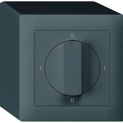Interruttore rotativo AP kallysto 2/1L antracite 0-A-0-H con manopola 