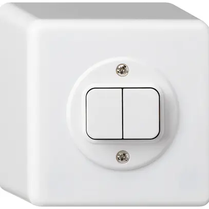 Interrupteur AP basico 3+3 blanc 