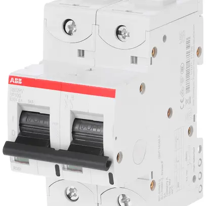 Disjoncteur SMISSLINE TP S 2×32A D 10kA 