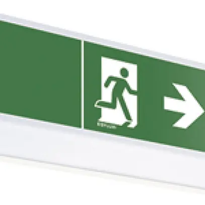 Lampada di emergenza ESYLUX SLA LEDi SC, 30×LED, 352×114×90mm 