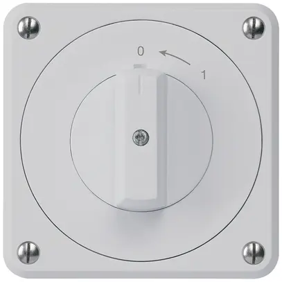 Contact pivotant ENC robusto IP55 gris 2P 