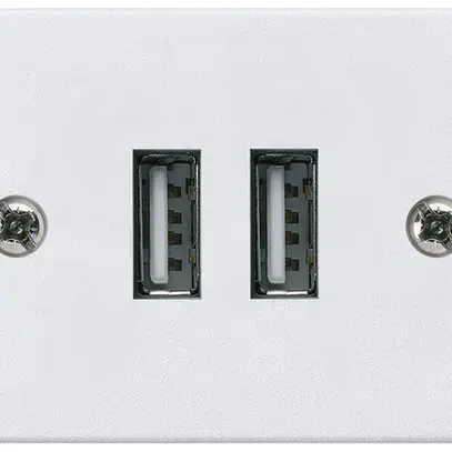 Prise INC 2×USB HA FLF 2400mA blanc 